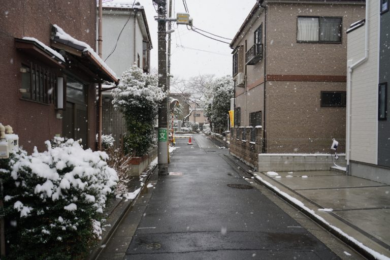 Tokyo February Snow in Tokyo, February 2026 – 通訳案内士のブログ / Tour guide Blog